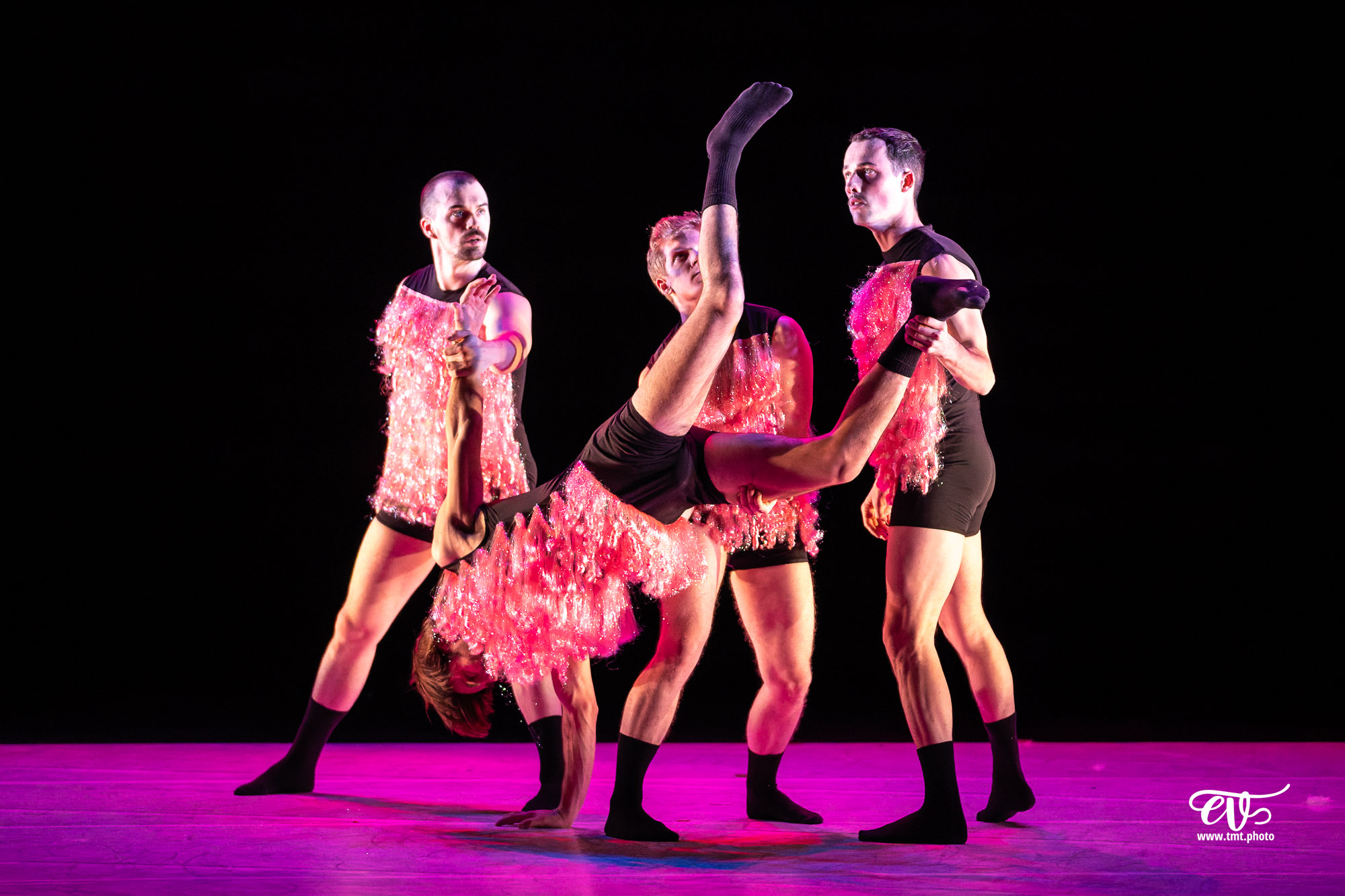 A4 (COMME LA FEUILLE) CIE CHICOS MAMBO